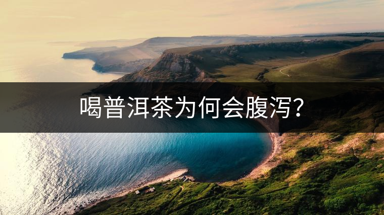 喝普洱茶為何會腹瀉？