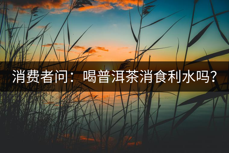 消費者問：喝普洱茶消食利水嗎？