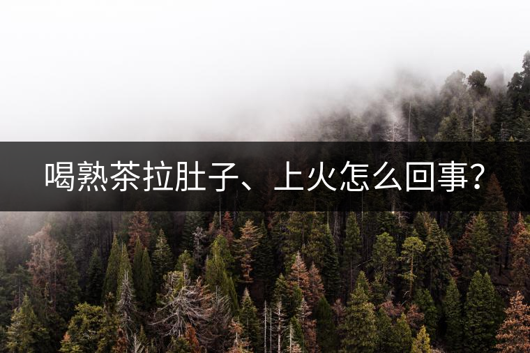 喝熟茶拉肚子、上火怎么回事？