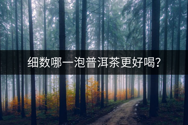 細數(shù)哪一泡普洱茶更好喝？