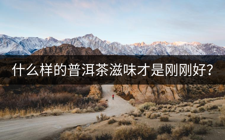 什么樣的普洱茶滋味才是剛剛好？