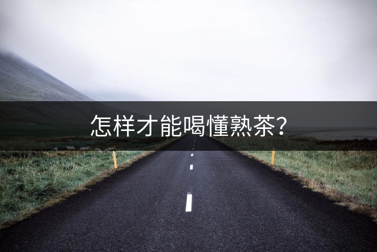 怎樣才能喝懂熟茶？