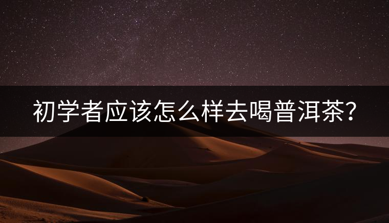 初學(xué)者應(yīng)該怎么樣去喝普洱茶？