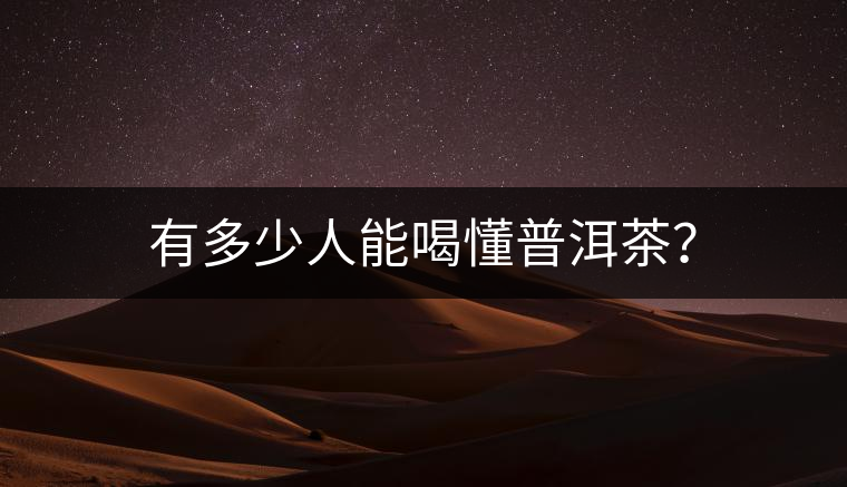 有多少人能喝懂普洱茶？