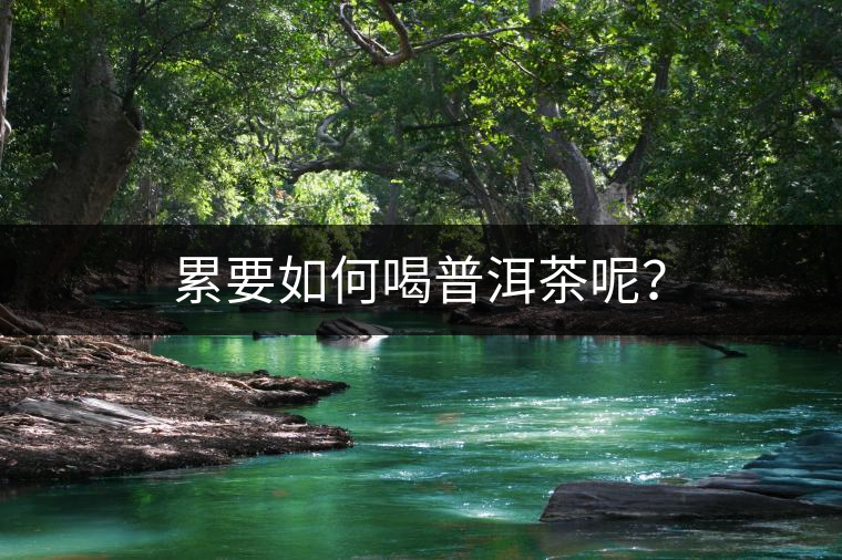 累要如何喝普洱茶呢？