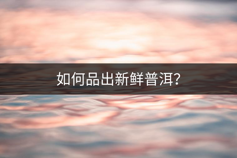 如何品出新鮮普洱？