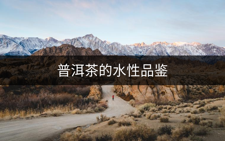 普洱茶的水性品鑒