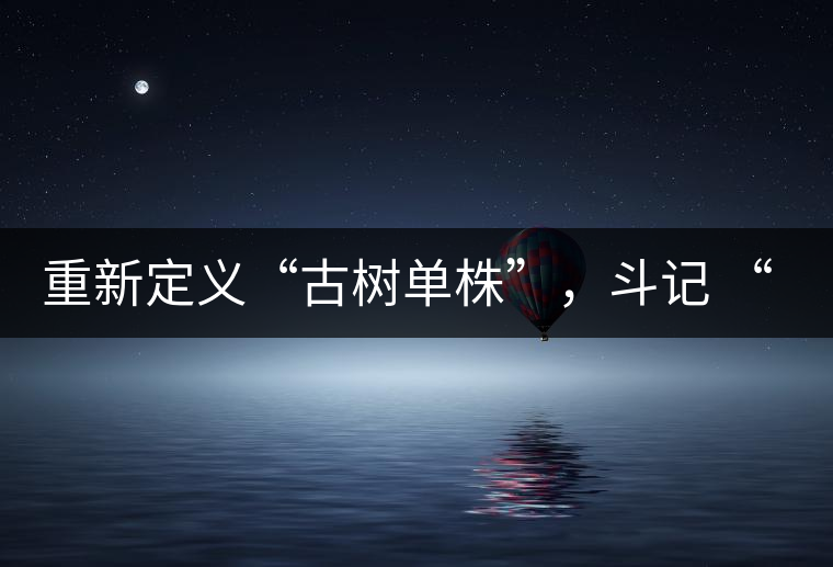 重新定義“古樹(shù)單株”，斗記 “超級(jí)審評(píng)”有償招募告罄在即！