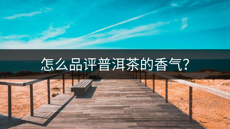 怎么品評普洱茶的香氣？