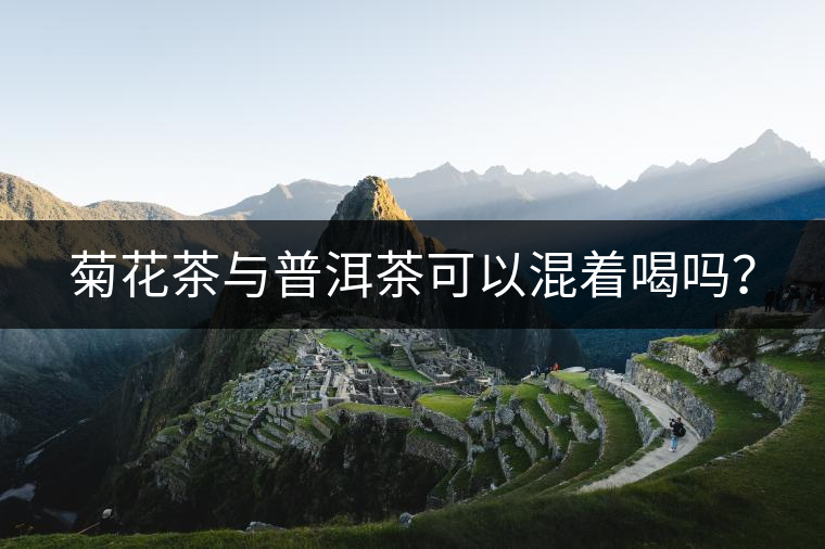 菊花茶與普洱茶可以混著喝嗎？