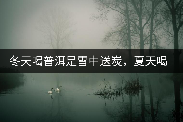 冬天喝普洱是雪中送炭，夏天喝就是火上澆油了？