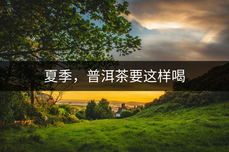 夏季，普洱茶要這樣喝