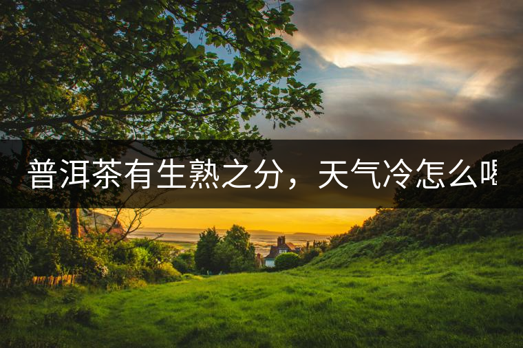 普洱茶有生熟之分，天氣冷怎么喝？