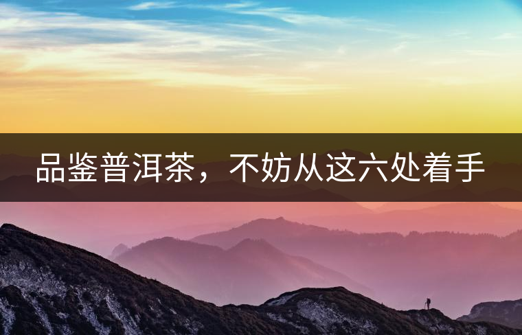 品鑒普洱茶，不妨從這六處著手