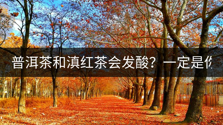 普洱茶和滇紅茶會(huì)發(fā)酸？一定是你這么做了！