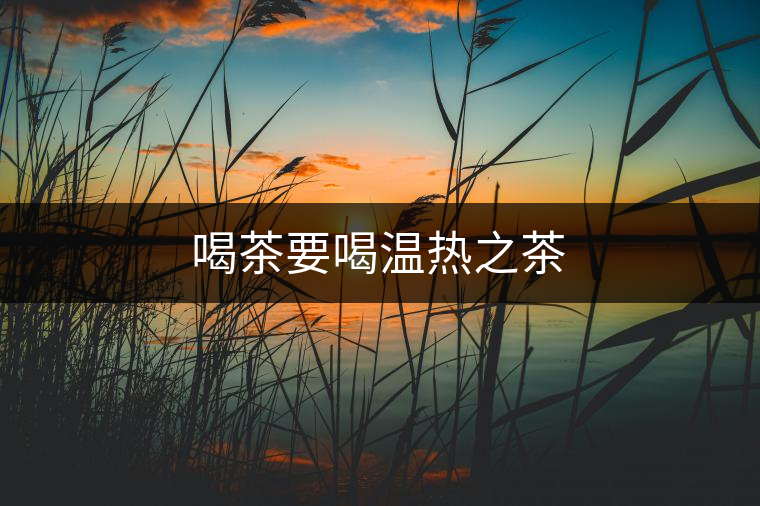 喝茶要喝溫熱之茶