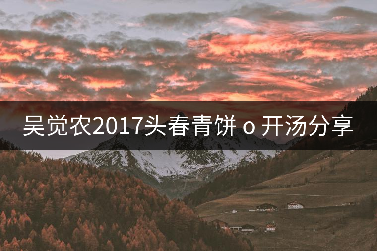 吳覺(jué)農(nóng)2017頭春青餅 o 開(kāi)湯分享 吳覺(jué)農(nóng)2017頭春青餅 o 開(kāi)湯分享