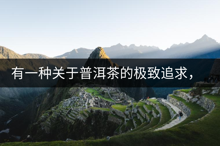 有一種關(guān)于普洱茶的極致追求， 當(dāng)屬于鴻中鴻