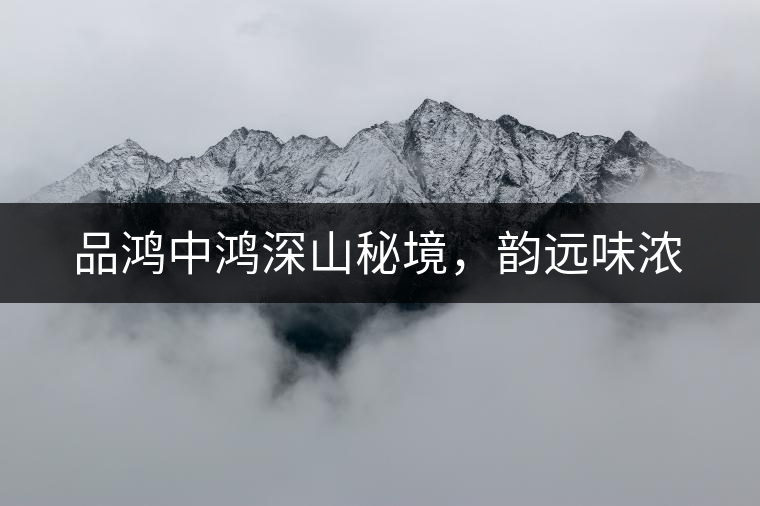 品鴻中鴻深山秘境，韻遠(yuǎn)味濃