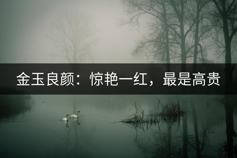 金玉良顏：驚艷一紅，最是高貴
