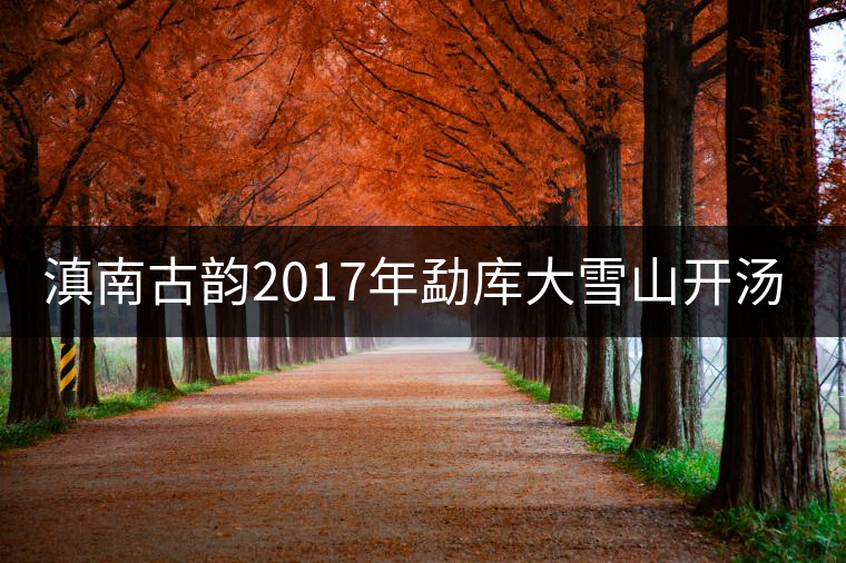 滇南古韻2017年勐庫(kù)大雪山開(kāi)湯品鑒 滇南古韻2017年勐庫(kù)大雪山開(kāi)湯品鑒