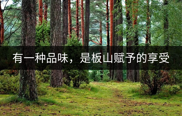 有一種品味，是板山賦予的享受