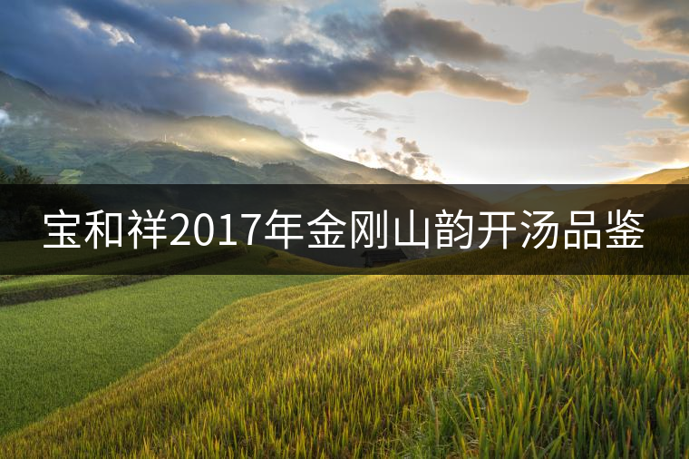 寶和祥2017年金剛山韻開(kāi)湯品鑒 寶和祥2017年金剛山韻開(kāi)湯品鑒