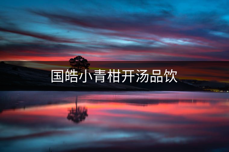 國(guó)皓小青柑開湯品飲 國(guó)皓小青柑開湯品飲