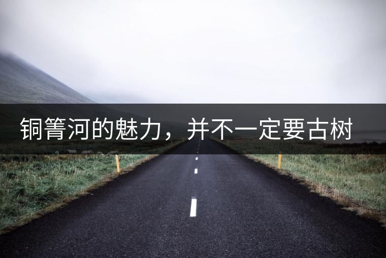 銅箐河的魅力，并不一定要古樹(shù)來(lái)體現(xiàn)