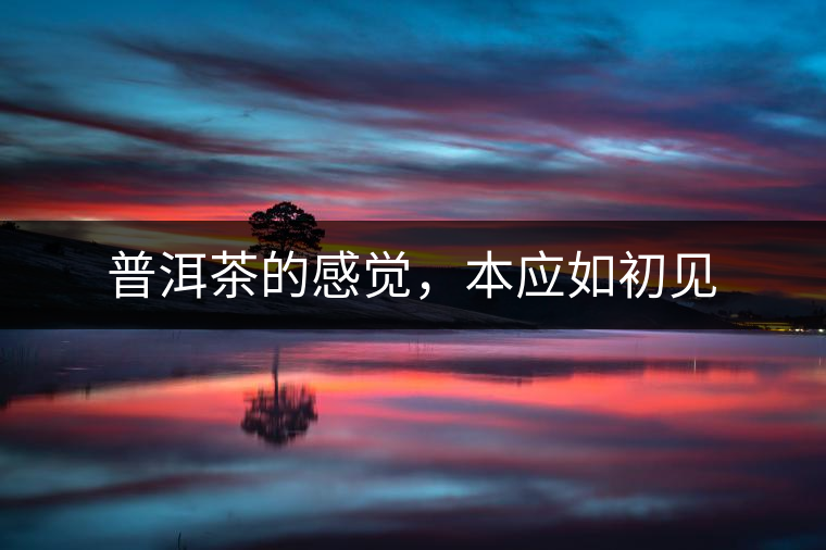 普洱茶的感覺，本應(yīng)如初見