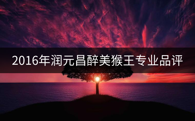 2016年潤元昌醉美猴王專業(yè)品評 2016年潤元昌醉美猴王專業(yè)品評