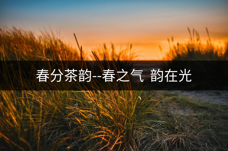 春分茶韻--春之氣 韻在光 春分茶韻--春之氣 韻在光