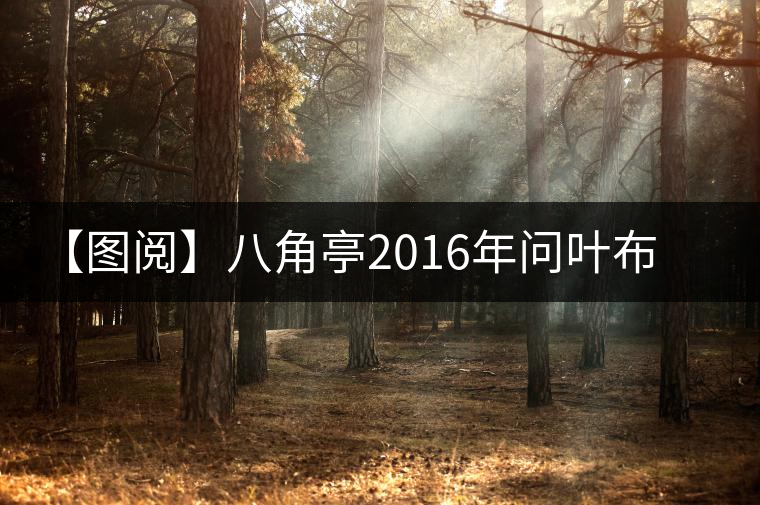 【圖閱】八角亭2016年問(wèn)葉布朗開(kāi)湯圖集錦