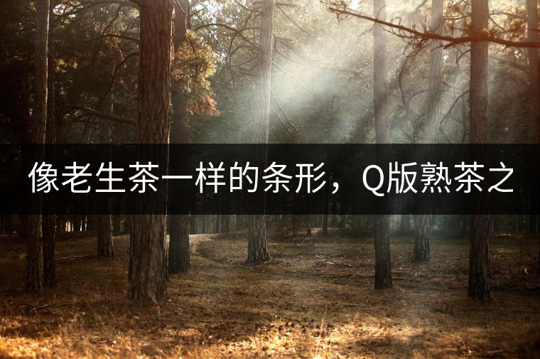 像老生茶一樣的條形，Q版熟茶之【融璞】