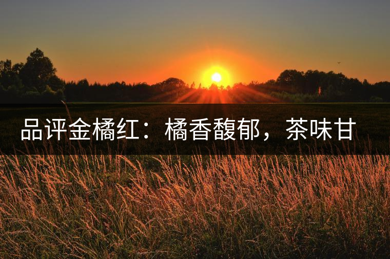品評金橘紅：橘香馥郁，茶味甘醇，匠心拼配，臻于至善