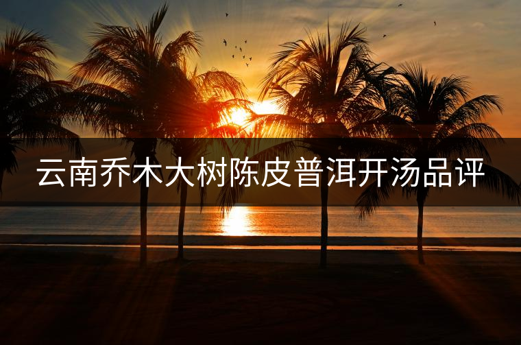 云南喬木大樹陳皮普洱開湯品評(píng) 云南喬木大樹陳皮普洱開湯品評(píng)