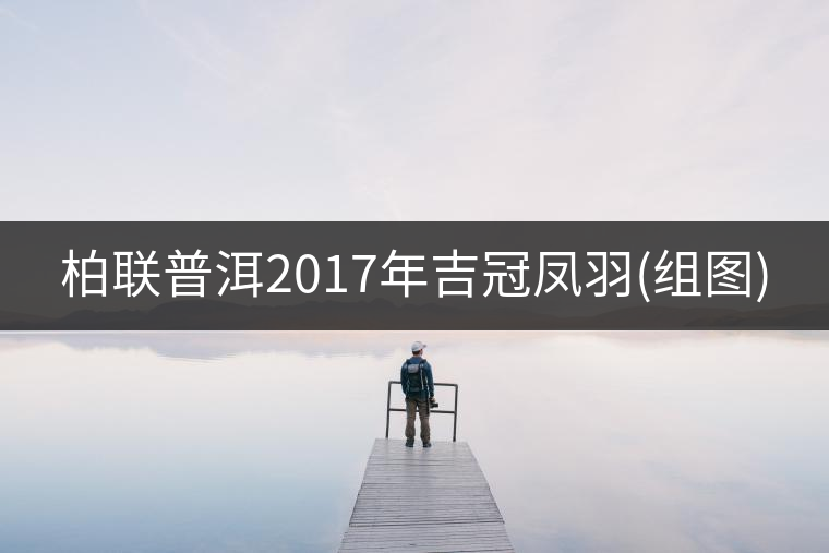 柏聯(lián)普洱2017年吉冠鳳羽(組圖)