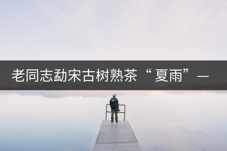 老同志勐宋古樹熟茶“ 夏雨”— 飲茶伴夏，只為您！