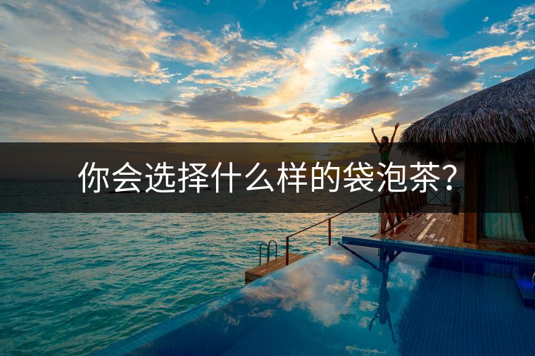 你會(huì)選擇什么樣的袋泡茶？