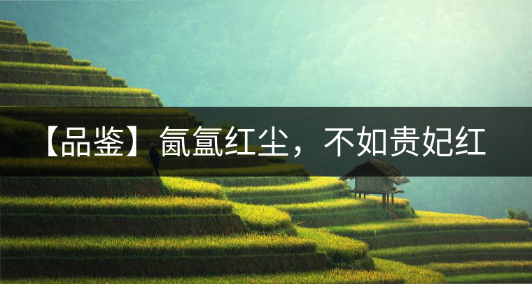 【品鑒】氤氳紅塵，不如貴妃紅一盞