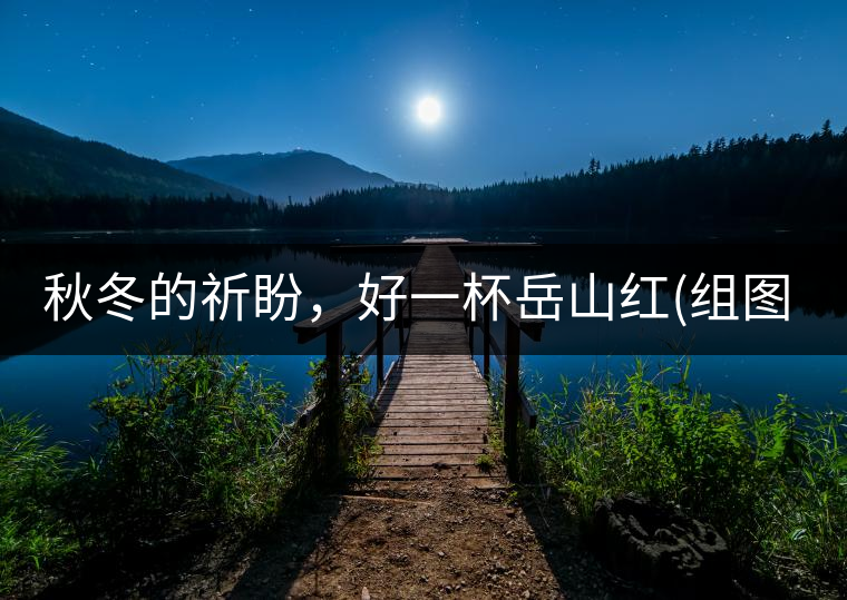 秋冬的祈盼，好一杯岳山紅(組圖)