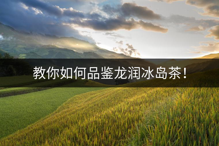 教你如何品鑒龍潤冰島茶！