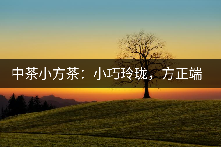 中茶小方茶：小巧玲瓏，方正端莊