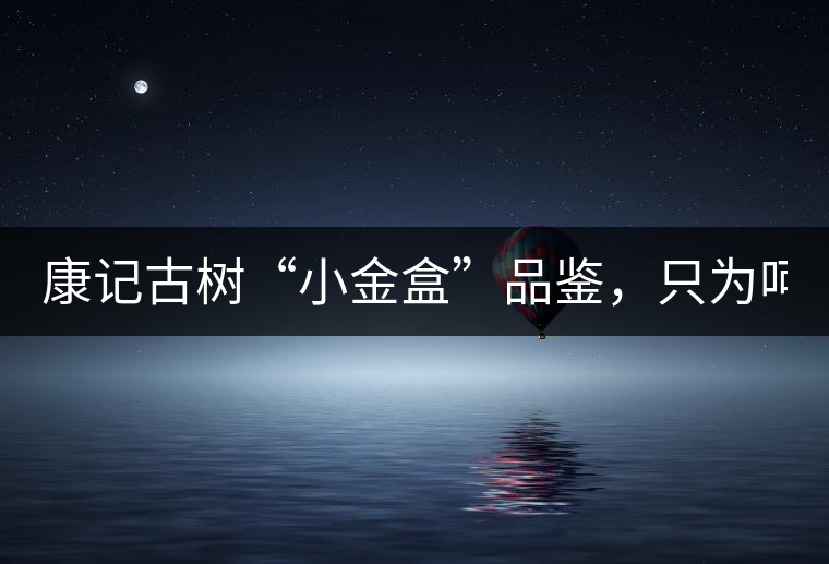 康記古樹“小金盒”品鑒，只為呵護您的味蕾！