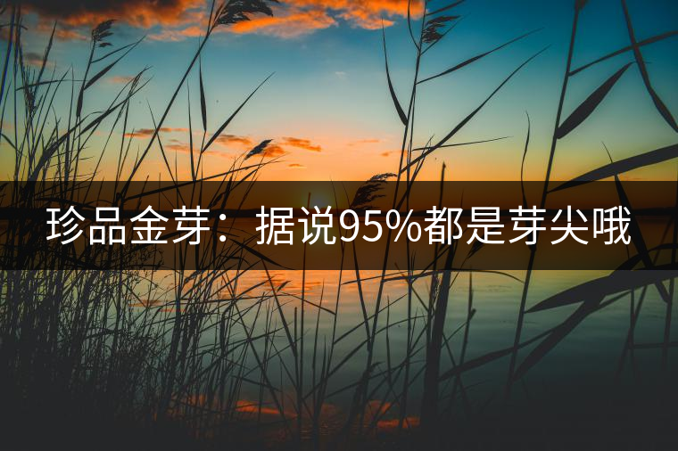珍品金芽：據(jù)說95%都是芽尖哦
