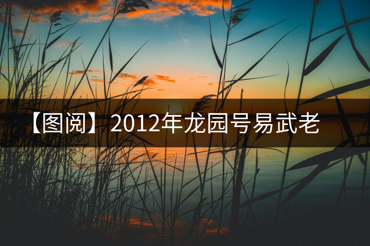 【圖閱】2012年龍園號(hào)易武老樹餅茶品評(píng)