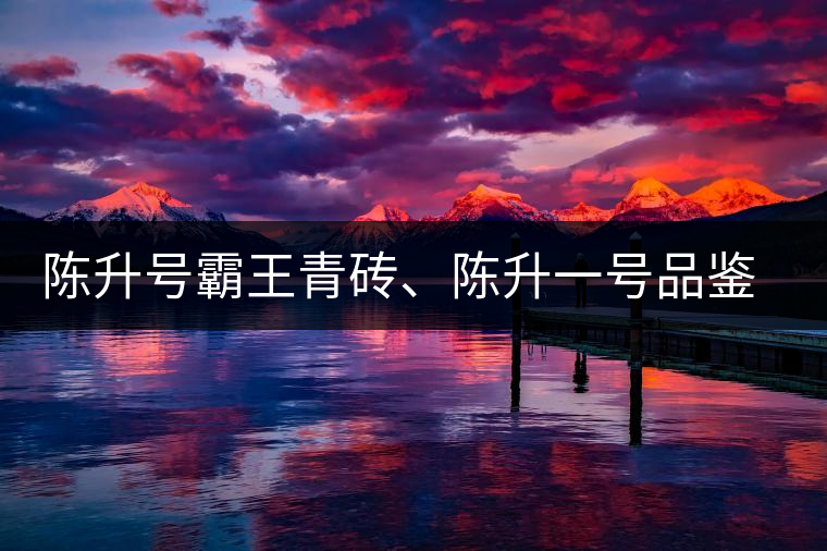 陳升號(hào)霸王青磚、陳升一號(hào)品鑒【圖】