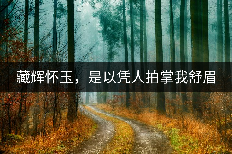 藏輝懷玉，是以憑人拍掌我舒眉