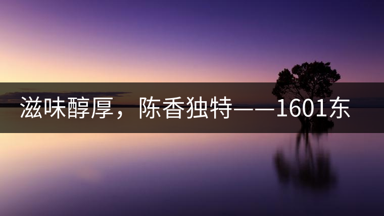 滋味醇厚，陳香獨(dú)特——1601東方美韻品鑒