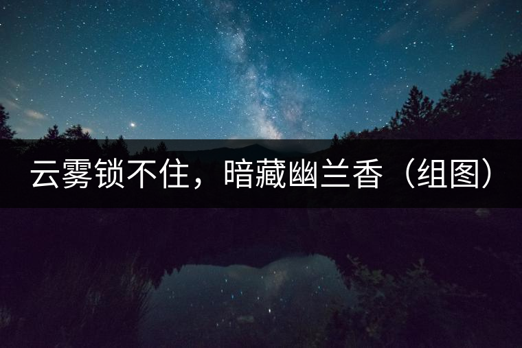 云霧鎖不住，暗藏幽蘭香（組圖）